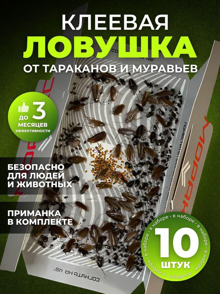 Ловушка для тараканов МОРАКС клеевая с приманкой, эффективное средство от тараканов, 10 шт