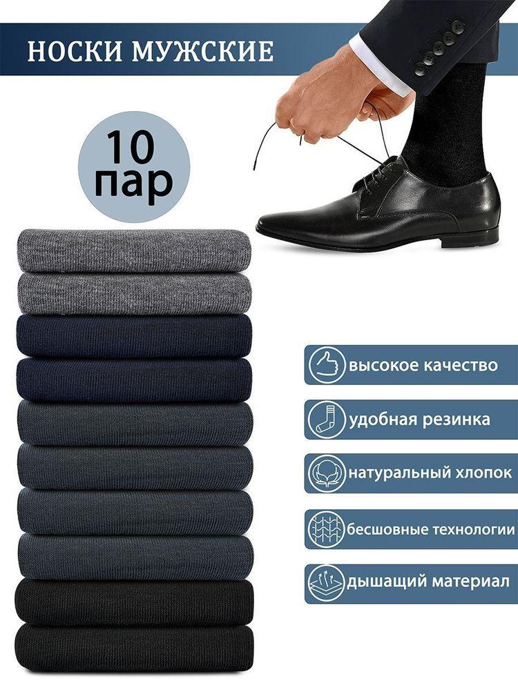 Носки АЛЬША мужские мужские хлопок, 10 пар