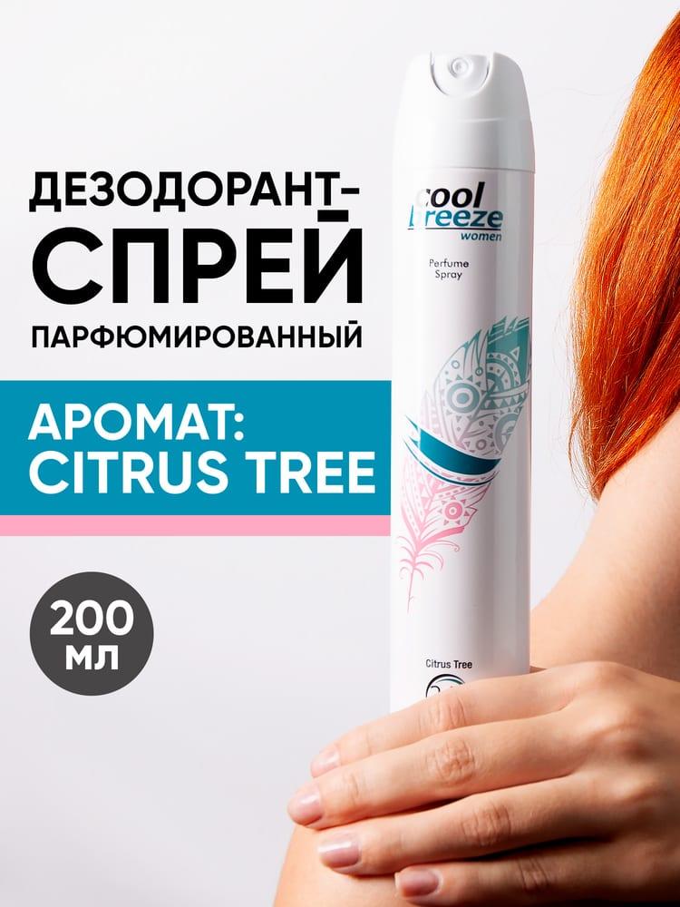Дезодорант спрей женский Cool Breeze women Citrus Tree 200 мл
